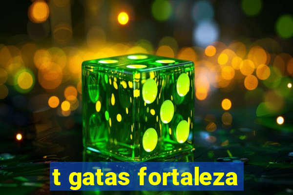 t gatas fortaleza